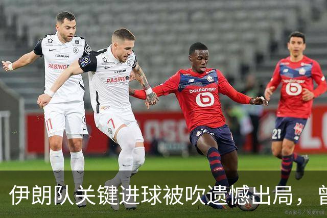 伊朗队关键进球被吹遗憾出局，曾任教哈佛大学的伊朗学者向FIFA索赔10亿美元